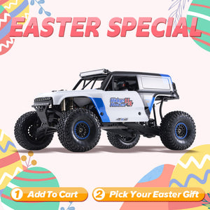 ROCHOBBY 1:7 Ridge Racer U4 Desert Buggy RS