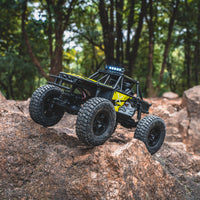 FMS 1:24 FCX24 Lemur RTR