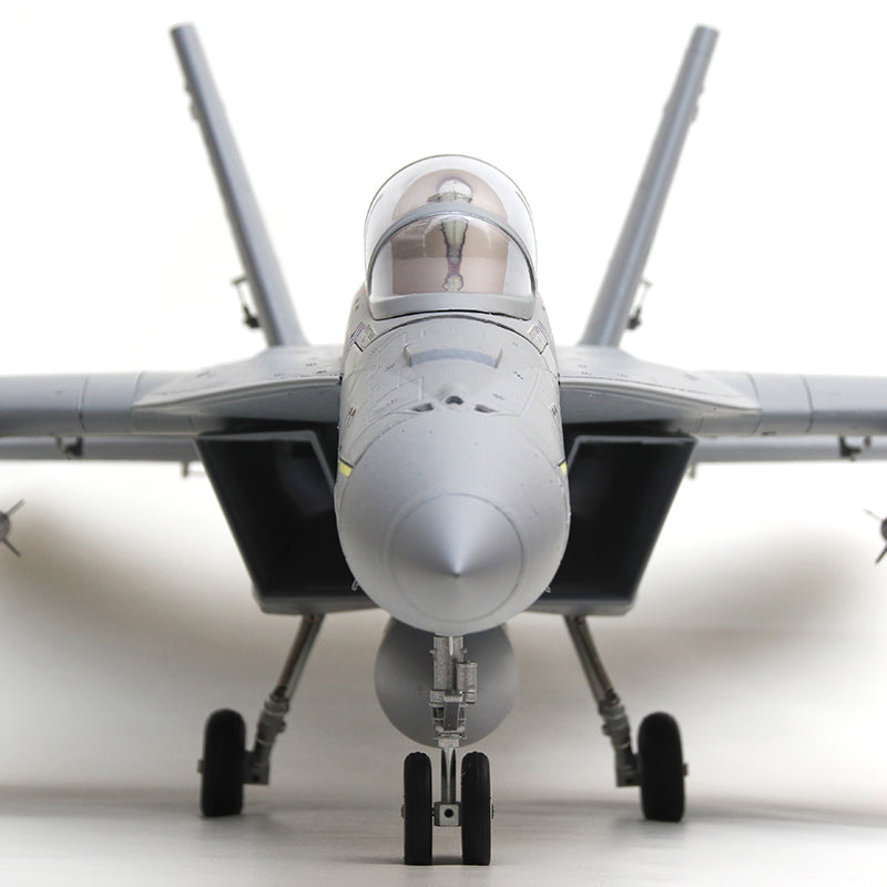 FMS 70mm F-A 18F Super Hornet PNP - FMS Model