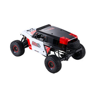 ROCHOBBY 1:7 Ridge Racer U4 Desert Buggy RS