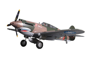 FMS 1400mm P-40B Warhawk Flying Tiger PNP